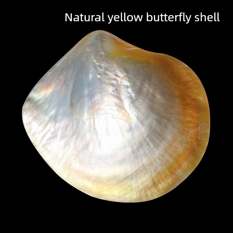 Aquarium Fish Yellow - 天然黄色蝶貝貝貝シェルコレクション水族館の水槽造園プラットフォーム家の装飾小道具家の装飾