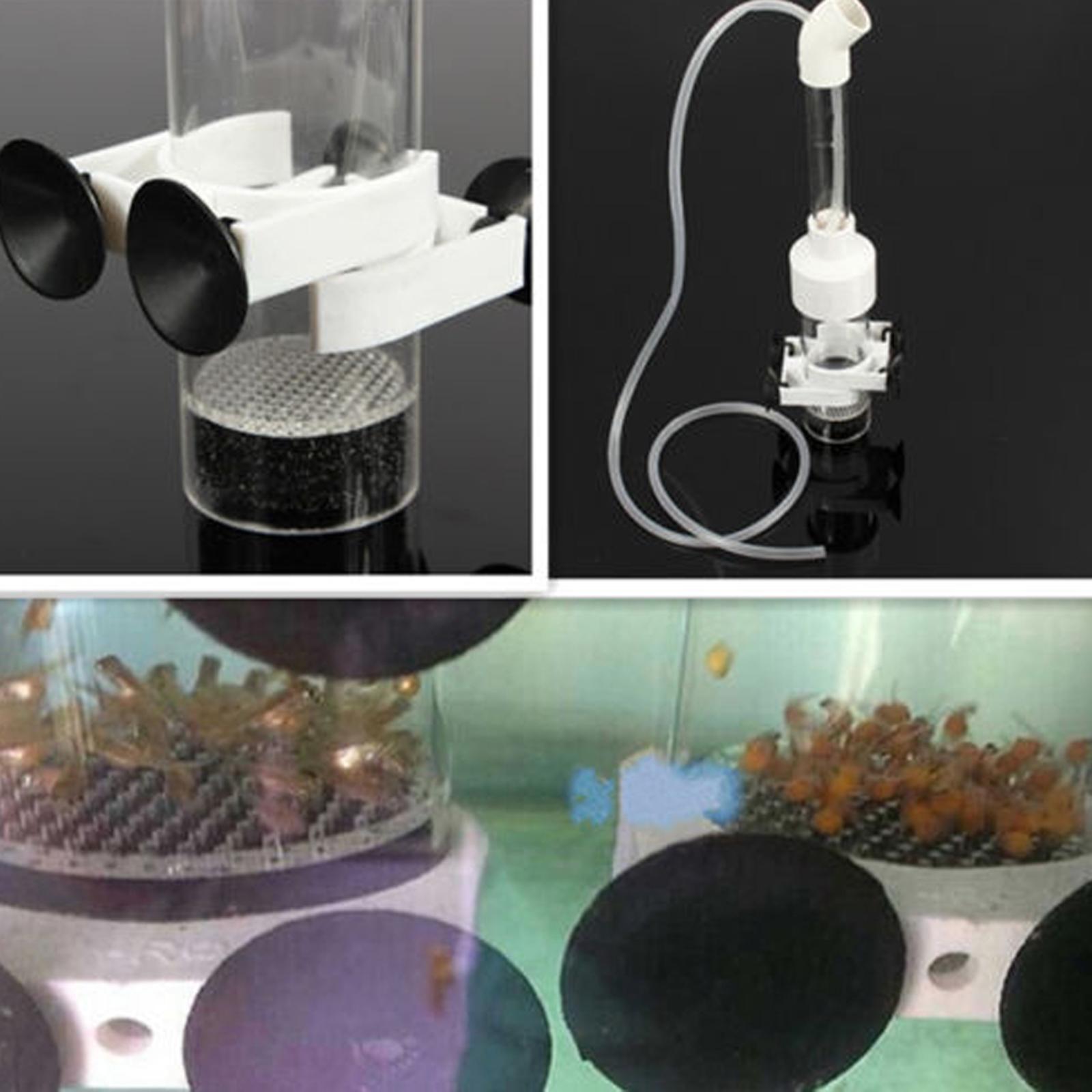 Aquarium Fish Eggs - 卵孵化器 魚用アクリル孵化場ツール 水槽魚繁殖ボックス 淡水魚卵孵化用