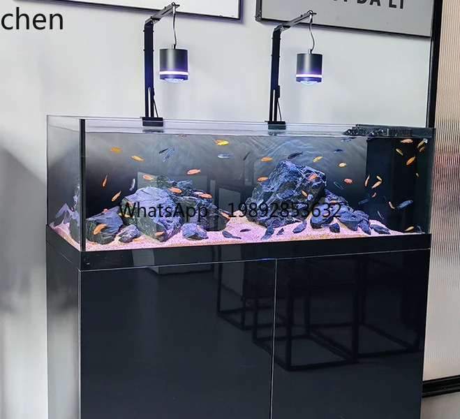 Wild Aquarium Fish - ストリームタンク ネイティブ ワイルド コレクション スリーレイクス フィッシュタンク