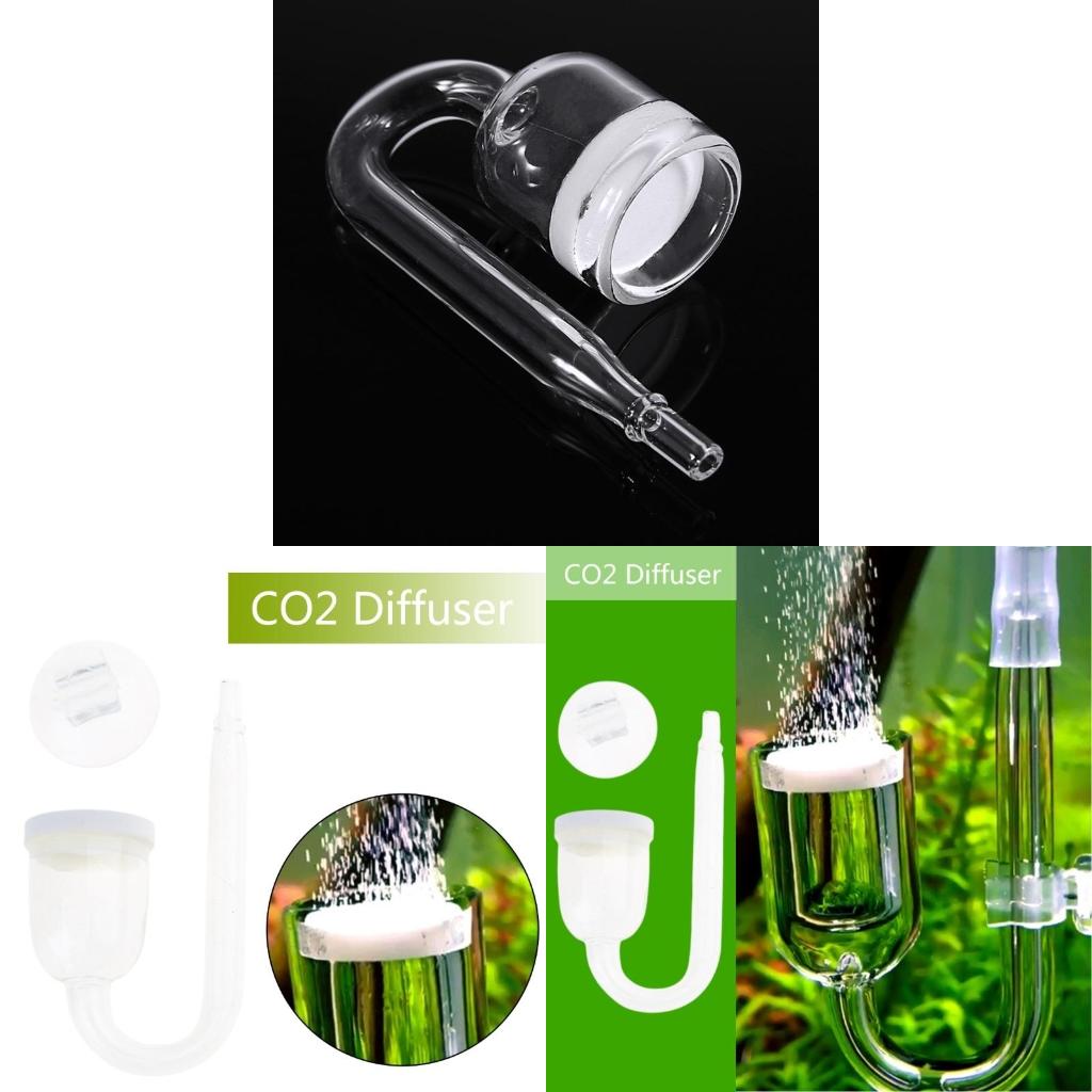Co2 Diffuser Planted - CO2ディフューザー 透明ガラスアトマイザー タンクに植えるために簡単に設置できます
