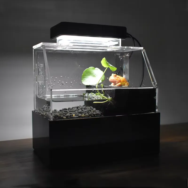 Aquarium Fish Sale - リラックスラインズ カスタムデスクトップ水槽 ミニラグジュアリー装飾 室内用 カスタムミニカラフル水槽 販売中