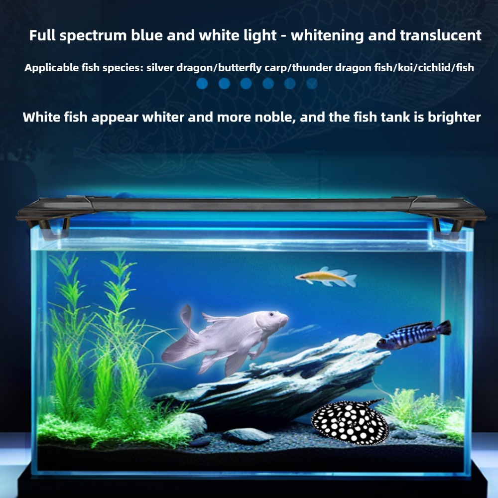 水槽用LEDライトバー 2フィート/3フィート/4フィート  - Aquarium Fish Parrot のレビューと価格