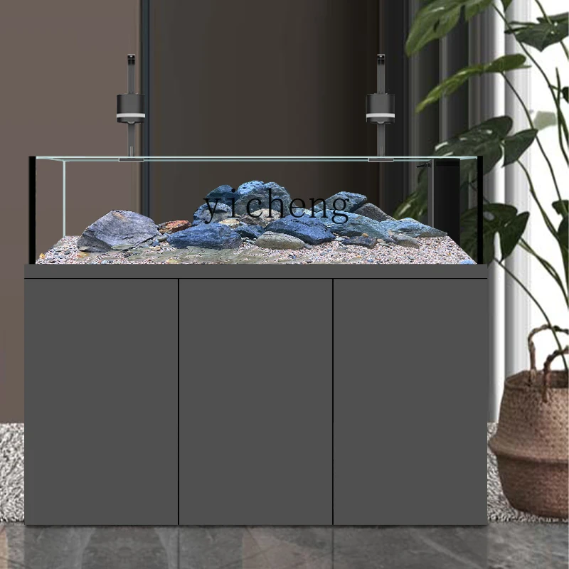 ABB ネイティブワイルドストリームタンク サンフ シクリッ - Wild Aquarium Fish のレビューと価格