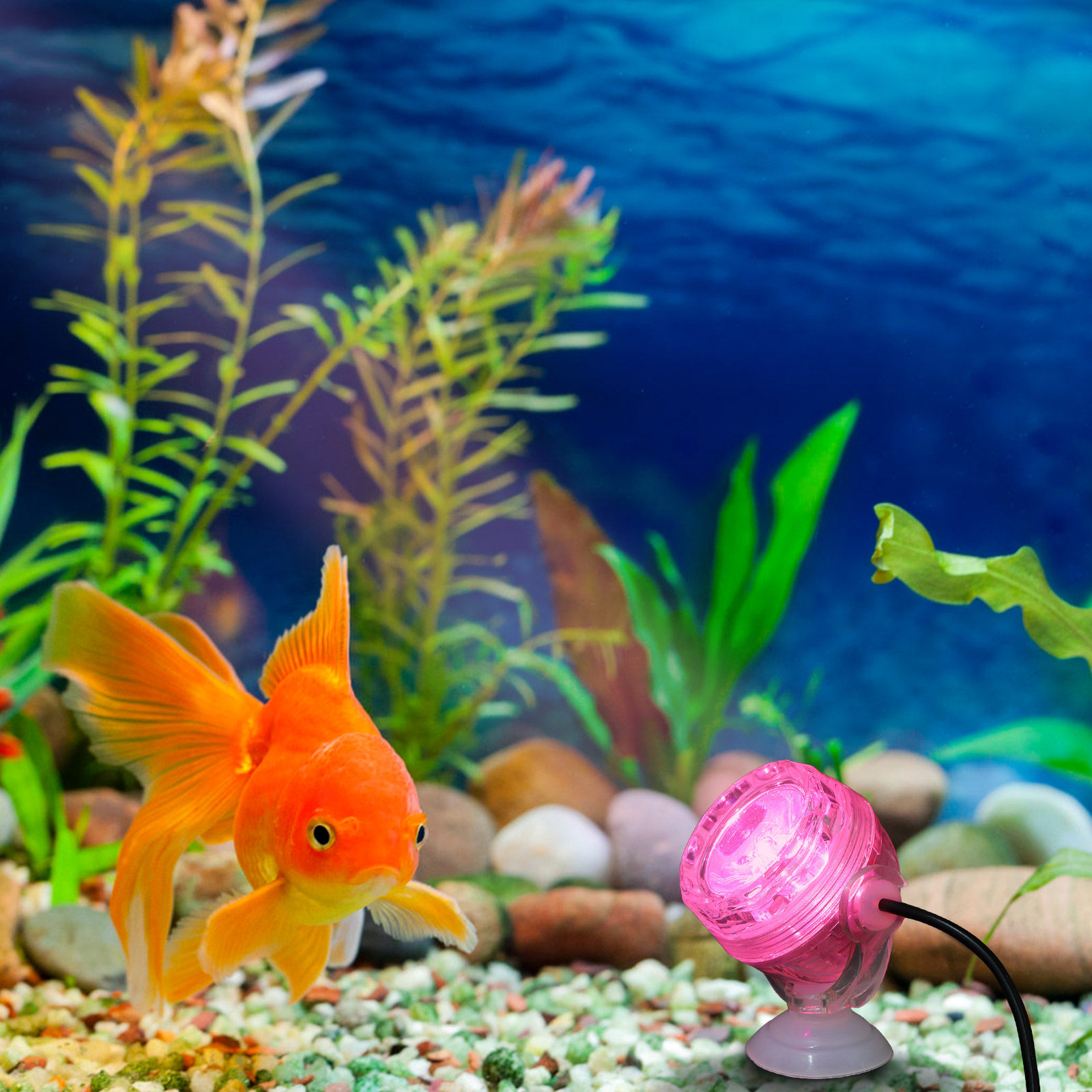 小型LED水槽ライト 防水 色が変わるLEDスポットライト  - Aquarium Fish Rainbow のレビューと価格
