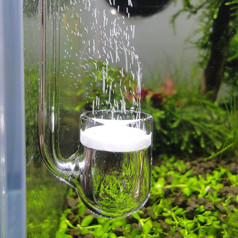 D0AD ガラス CO2 ディフューザー 水槽用 植栽型 水 - Co2 Diffuser Planted のレビューと価格