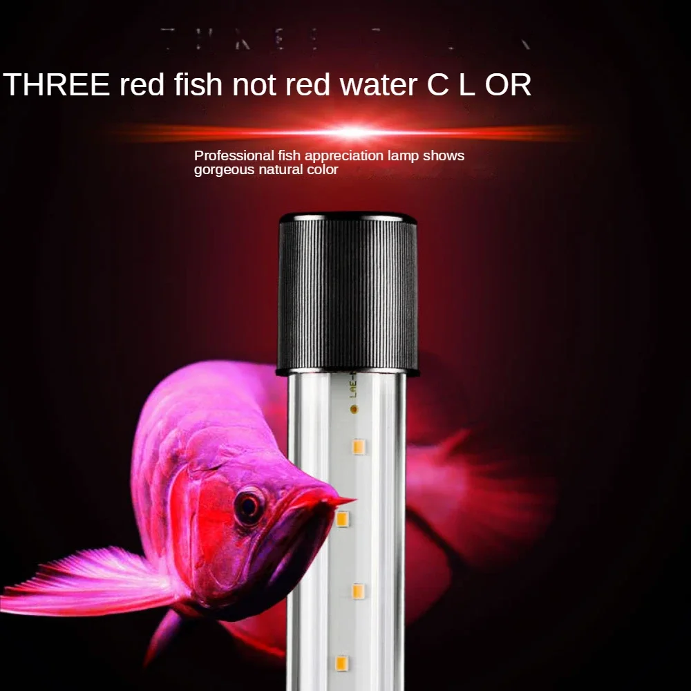 LED水槽景観ランプ、アロワナランプ、オウム魚、熱帯魚、サン - Aquarium Fish Parrot のレビューと価格