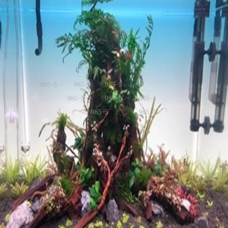 水槽用アクリル発光背景板 ホワイトライト RGB レインボー - Aquarium Fish Rainbow のレビューと価格
