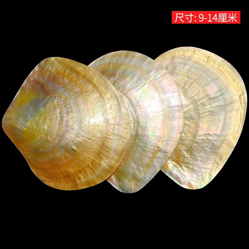 天然黄色蝶貝貝貝シェルコレクション水族館の水槽造園プラットフ - Aquarium Fish Yellow のレビューと価格