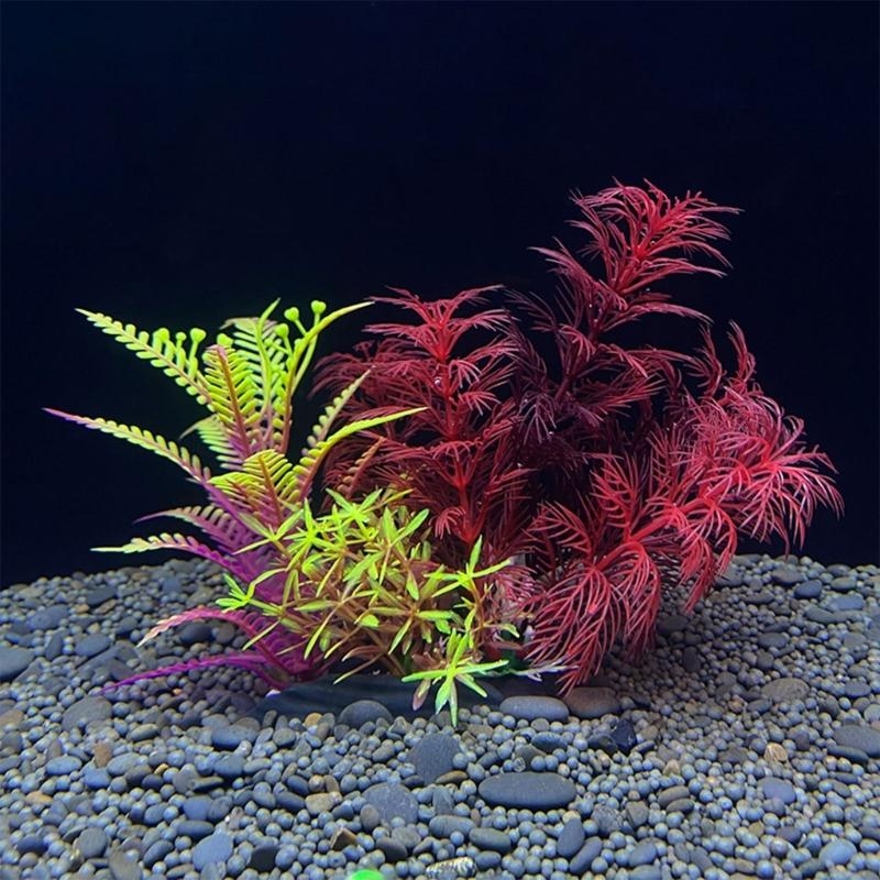 人工水槽装飾植物魚の装飾水族館造園シミュレーション水生植物装 - Aquarium Fish Sale のレビューと価格