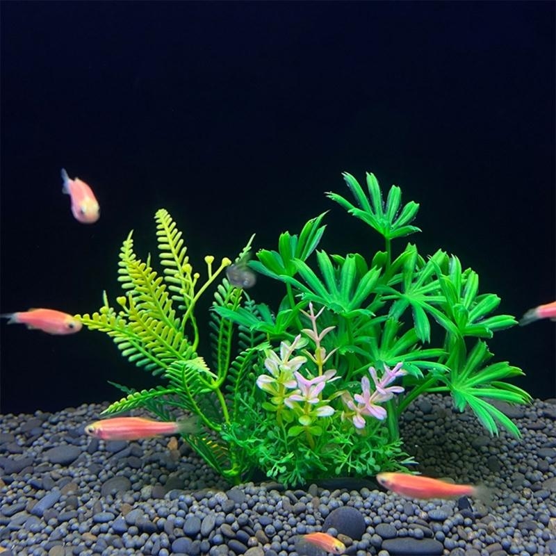 人工水槽装飾植物魚の装飾水族館造園シミュレーション水生植物装 - Aquarium Fish Sale のレビューと価格