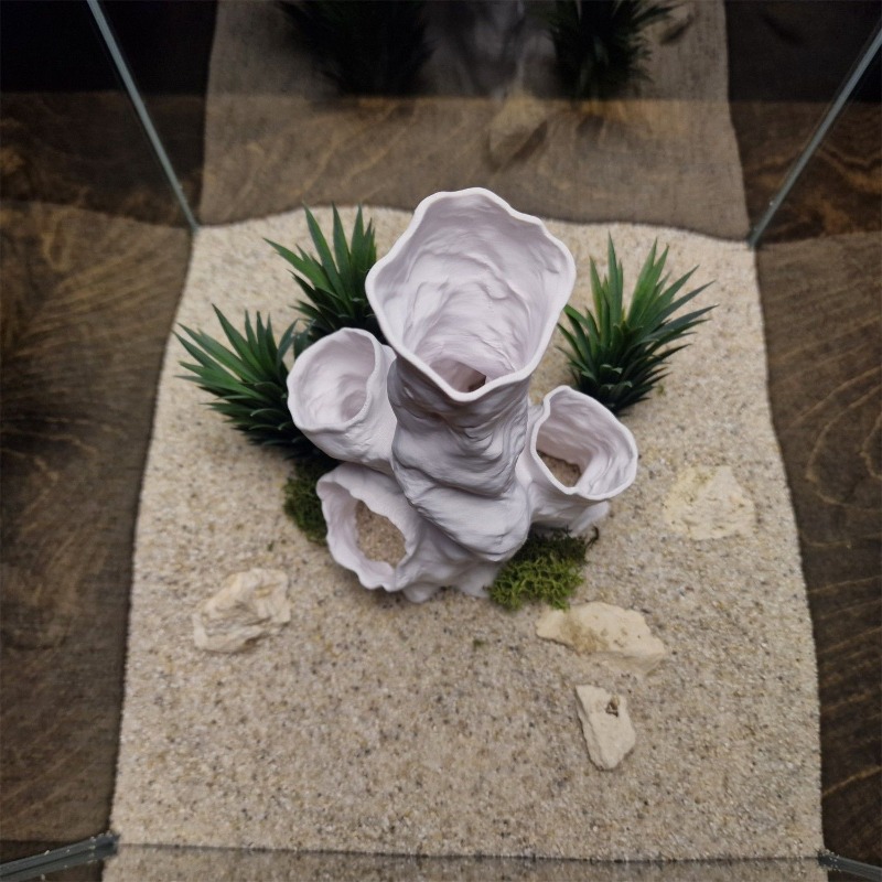 ホットセール 3Dプリント サンゴトンネル 隠れ家 植物イン - Aquarium Fish Sale のレビューと価格