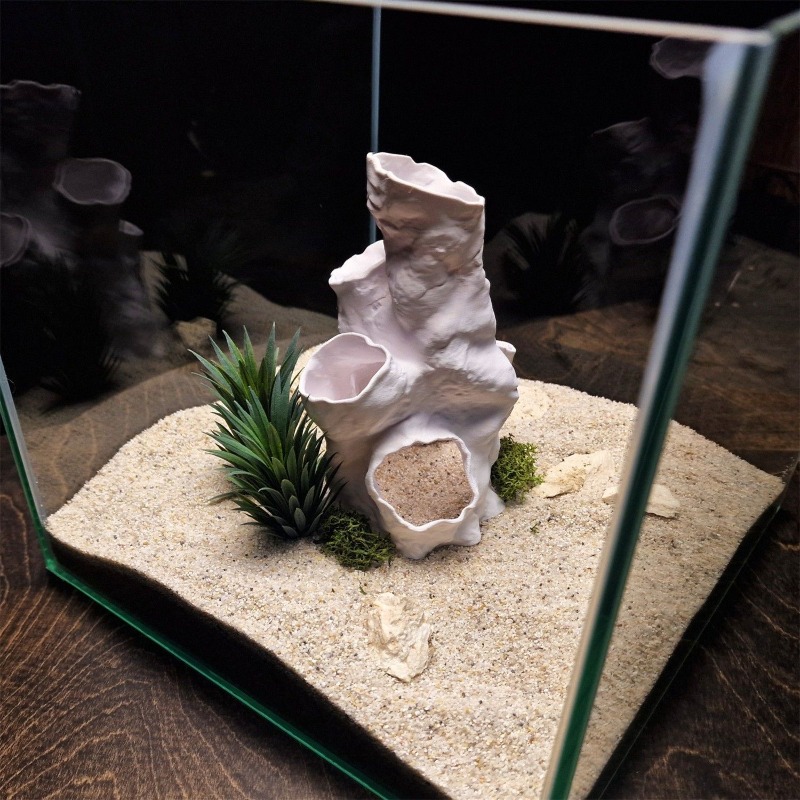 ホットセール 3Dプリント サンゴトンネル 隠れ家 植物イン - Aquarium Fish Sale のレビューと価格