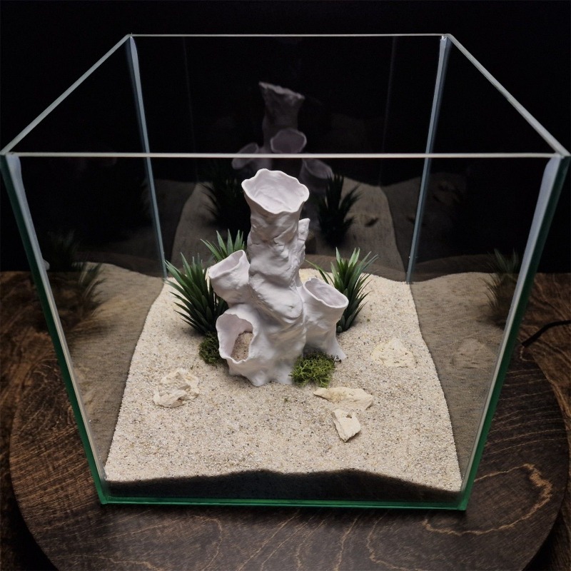 ホットセール 3Dプリント サンゴトンネル 隠れ家 植物イン - Aquarium Fish Sale のレビューと価格