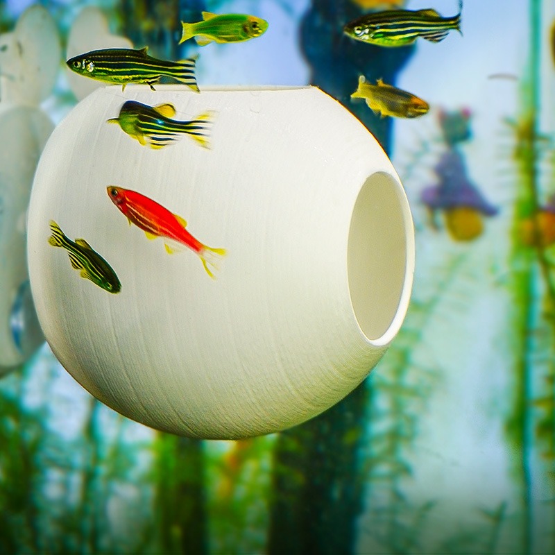 水槽用クリエイティブオーナメント 3Dプリント球形シェルター - Aquarium Fish Parrot のレビューと価格