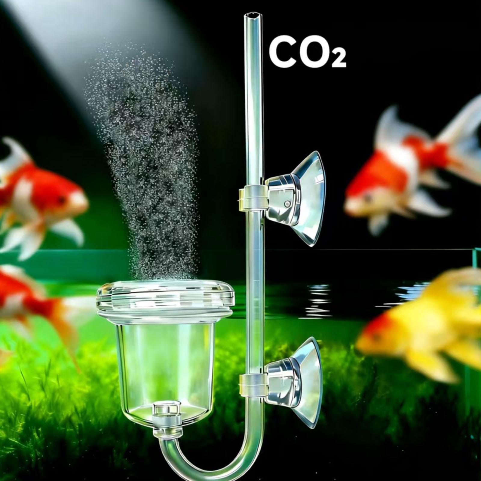 透明なCO2ディフューザー、吸盤付き、水槽植物用簡単設置。  - Co2 Diffuser Planted のレビューと価格