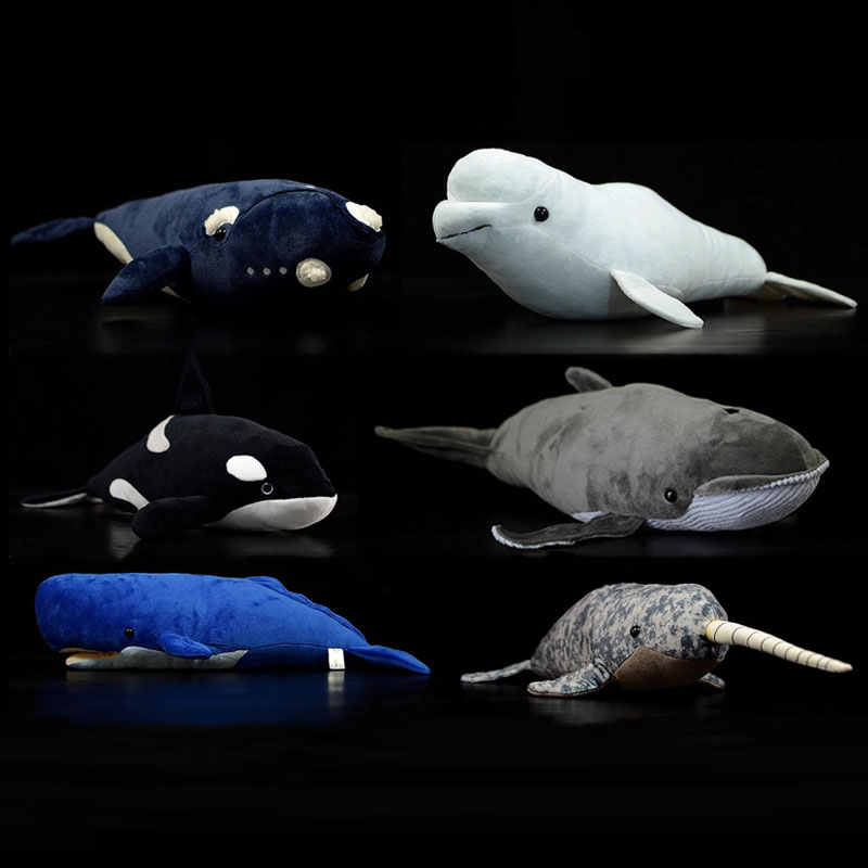 シミュレーション動物キラー バレーン白鯨 シャチ モビーディ - Wild Aquarium Fish のレビューと価格