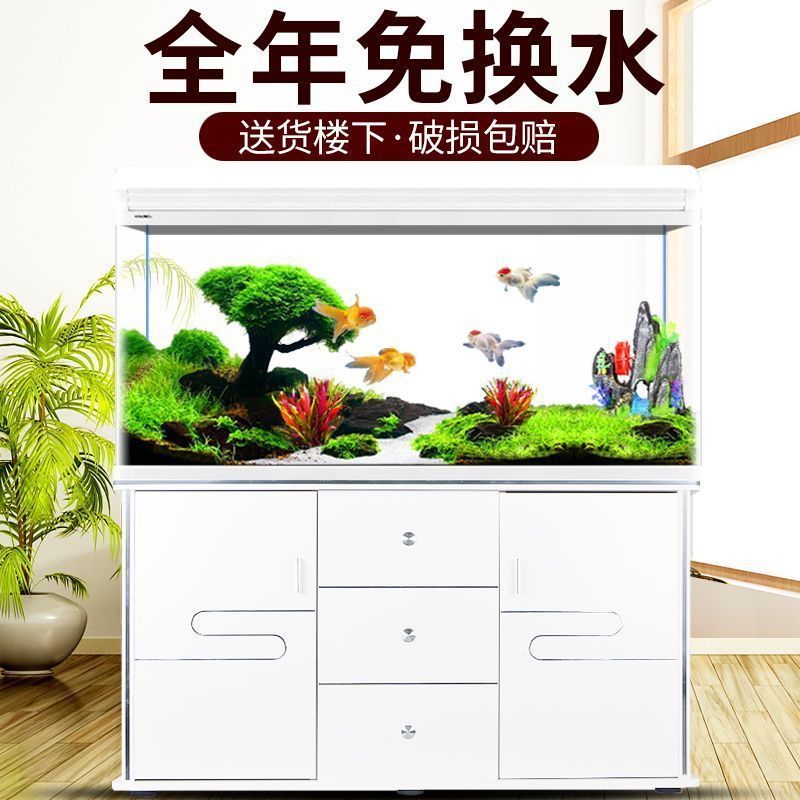 西龍水槽 アクアリウム 小型・中型 リビングルーム 家庭用  - Aquarium Xilong のレビューと価格