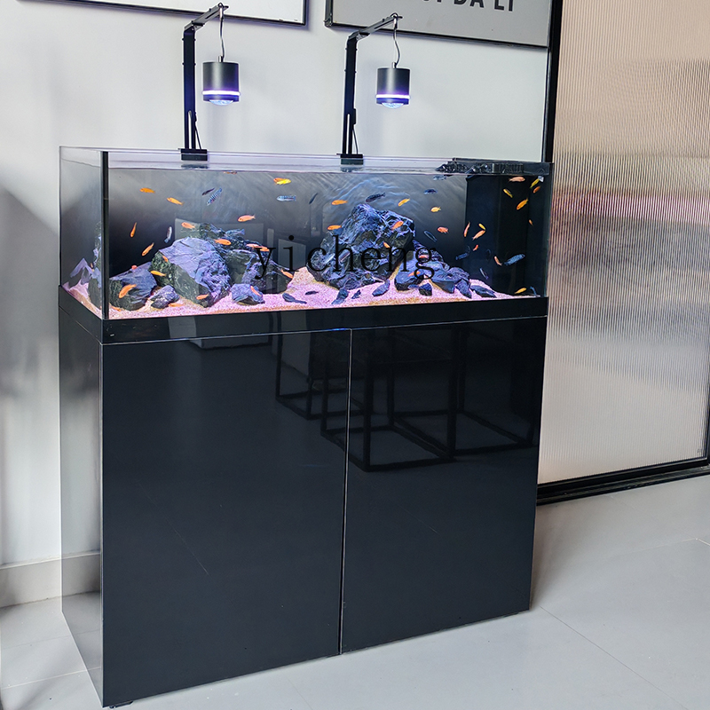 U1 ネイティブ野生流流魚水槽 サンフ シクリッド魚水槽 リ - Wild Aquarium Fish のレビューと価格