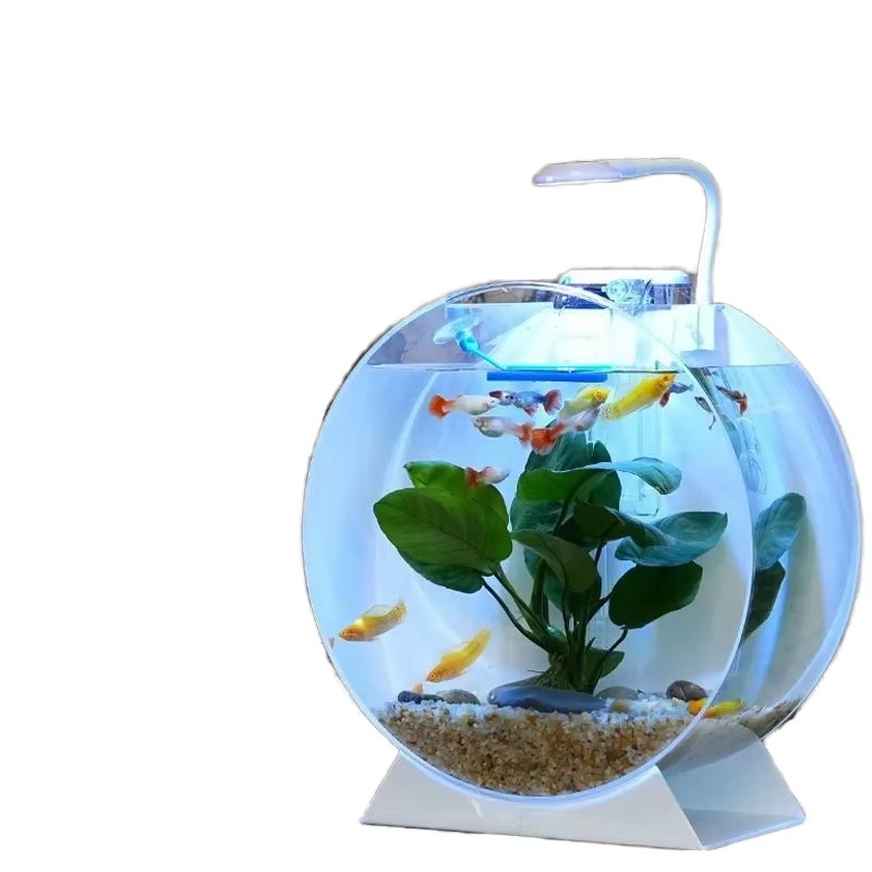 激安セール！モダンで環境に優しいアクリル製水槽、多様なサイズ - Aquarium Fish Sale のレビューと価格