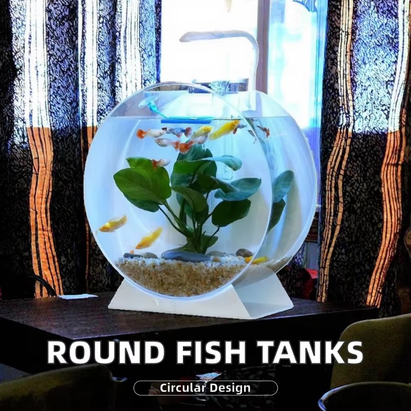激安セール！モダンで環境に優しいアクリル製水槽、多様なサイズ - Aquarium Fish Sale のレビューと価格
