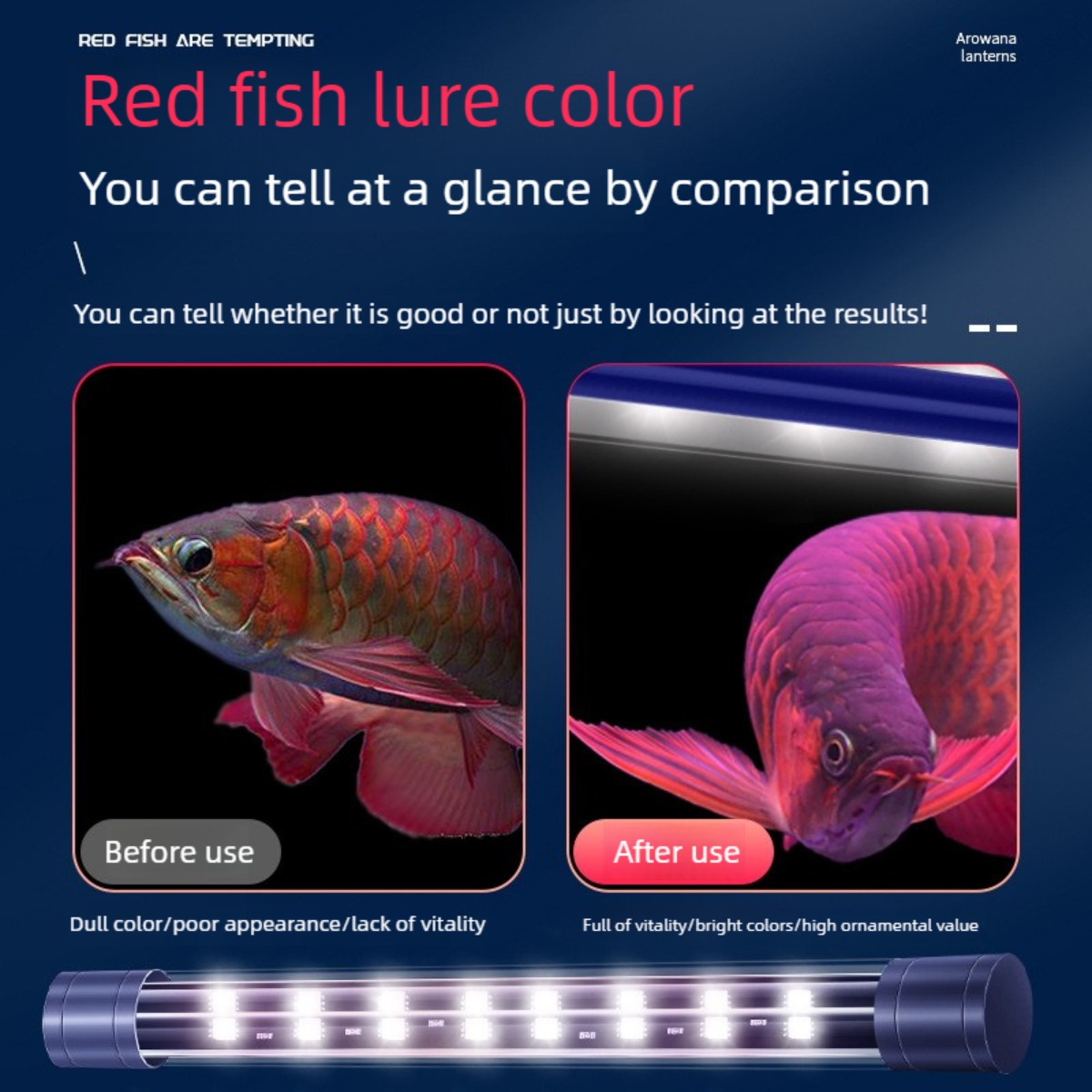 LED水槽ライト32.7インチ、水中アロワナ日焼けライト防水 - Aquarium Fish Yellow のレビューと価格