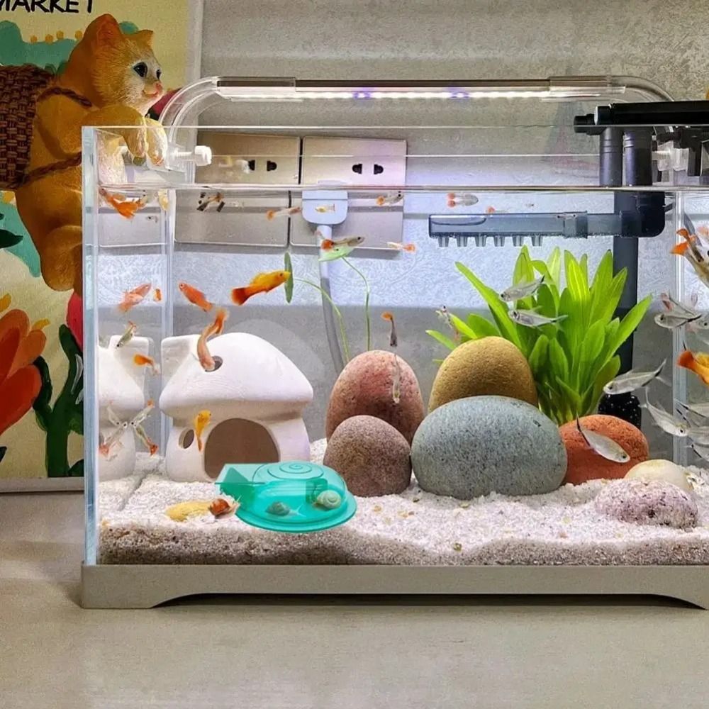 淡水海水水槽カタツムリトラップ効果的な多目的カタツムリ捕獲器 - Aquarium Fish Eggs のレビューと価格