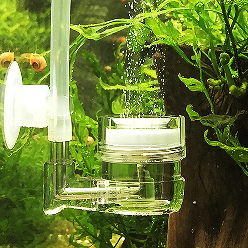 水槽用4in1 CO2ディフューザー、ガラス製タンクバブルリ - Co2 Diffuser Planted のレビューと価格
