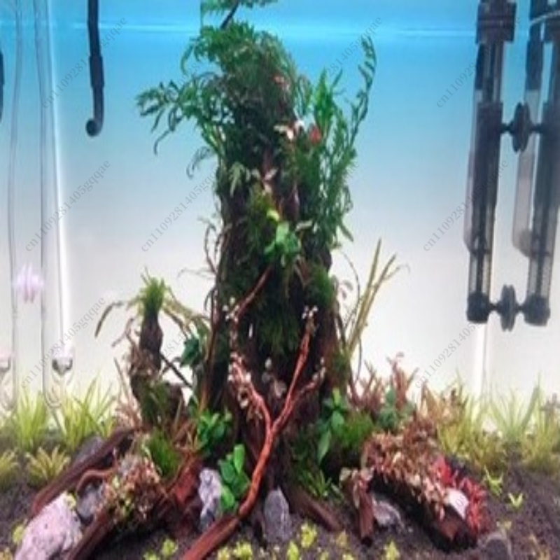 水槽背景ボード LED水槽 草水槽 白色光 RGB レインボ - Aquarium Fish Rainbow のレビューと価格