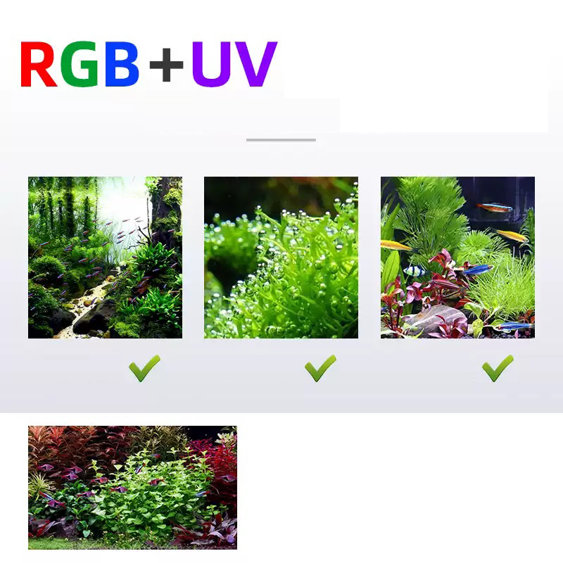 LED照明 60cm 80cm 90cm RGB UV 水槽 - Aquarium Fish Sale のレビューと価格