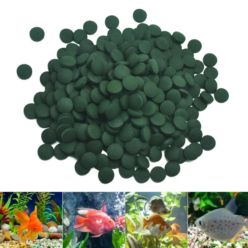 50-300 個高純度スピルリナ錠剤螺旋状海藻濃縮お気に入り - Aquarium Fish Eggs のレビューと価格