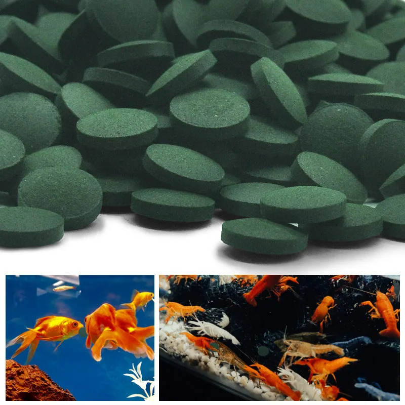 50-300 個高純度スピルリナ錠剤螺旋状海藻濃縮お気に入り - Aquarium Fish Eggs のレビューと価格