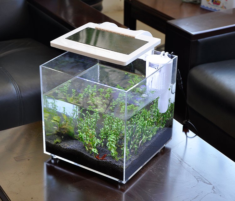 ミニアクリル水槽（25×25×25cm）照明・ろ過システム付 - Aquarium Fish Sale のレビューと価格
