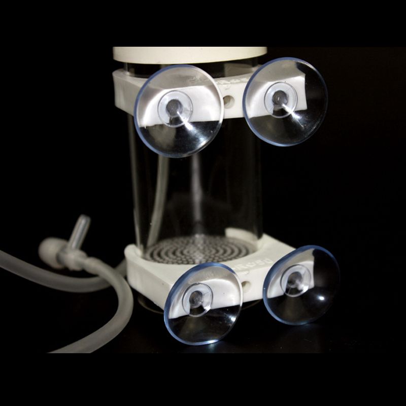 水槽用シクリッドタンブラー魚孵化場インキュベーター卵口内孵化 - Aquarium Fish Eggs のレビューと価格