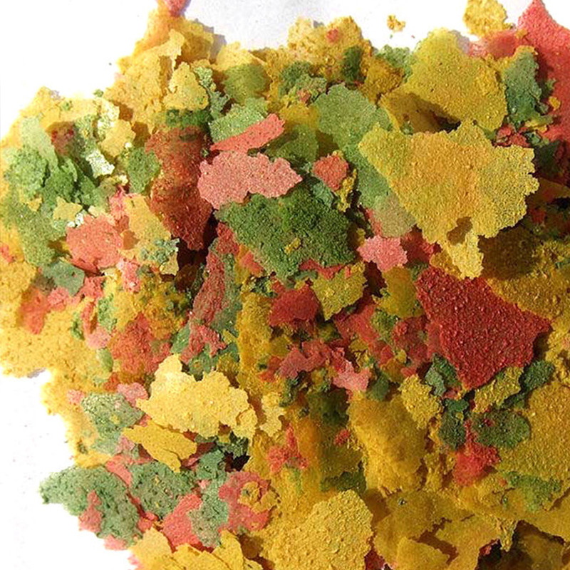 観賞魚薄切り食品熱帯魚の餌カラフルな魚の餌レインボーエンジェ - Aquarium Fish Rainbow のレビューと価格