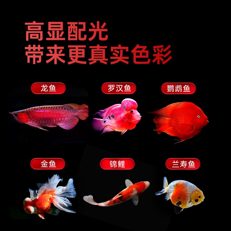 防水トリカラーLED水槽ライト、赤いアロワナ、インコウオ、金 - Aquarium Fish Parrot のレビューと価格