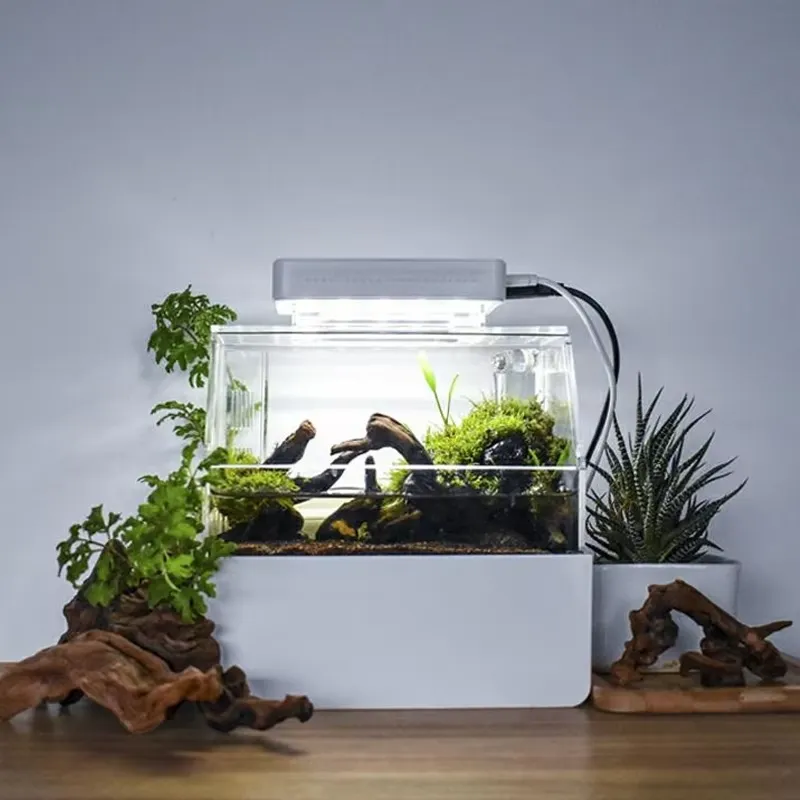 リラックスラインズ カスタムデスクトップ水槽 ミニラグジュア - Aquarium Fish Sale のレビューと価格