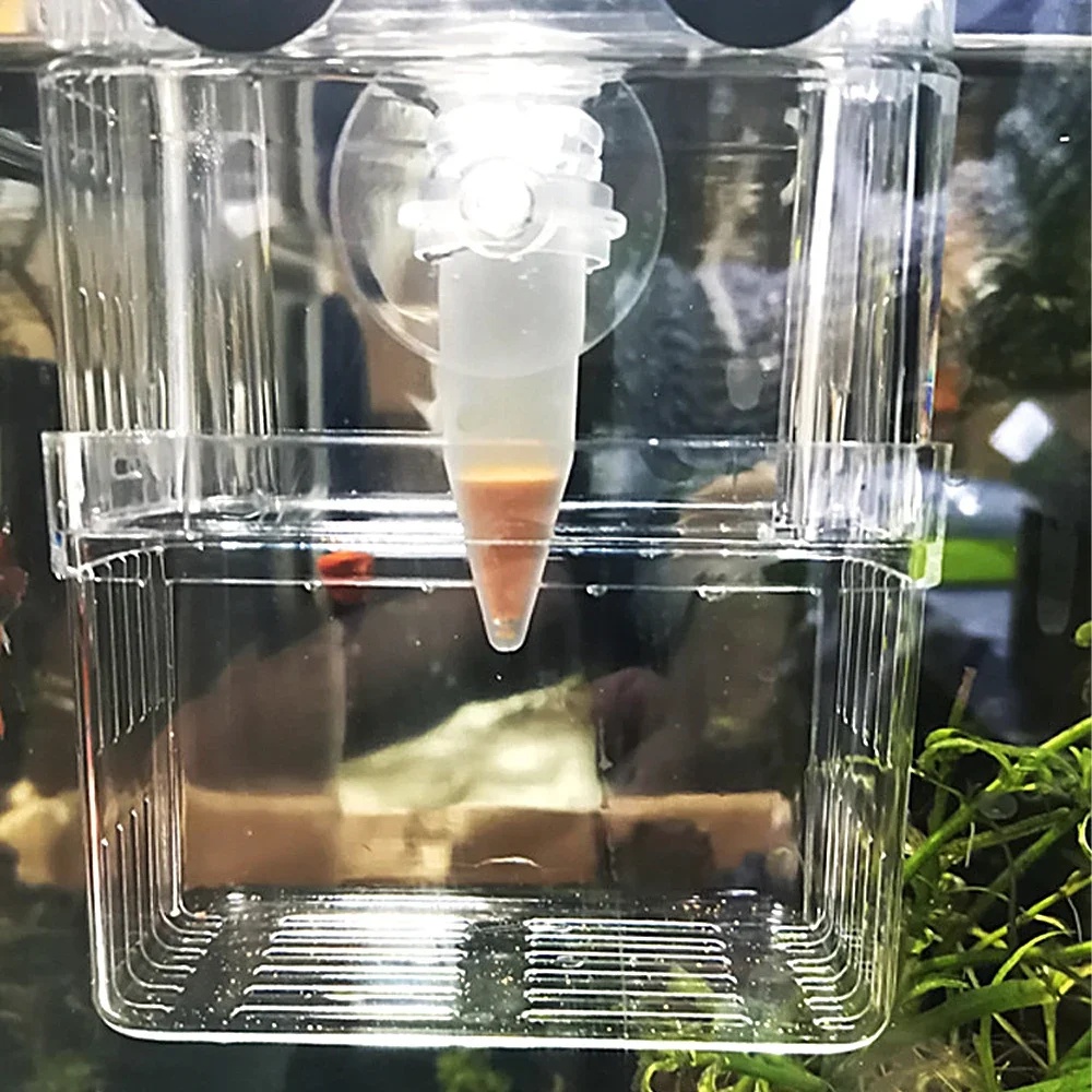 自動魚フィーダーコーンエビ卵ワーム漏斗カップ給餌ツールリング - Aquarium Fish Eggs のレビューと価格