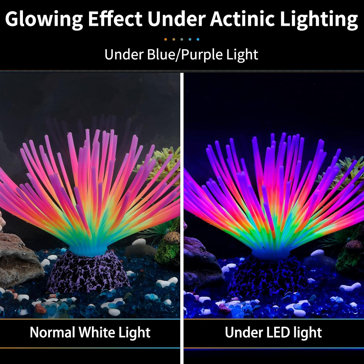水槽用模造レインボーウニボール人工シリコンオーナメント、発光 - Aquarium Fish Rainbow のレビューと価格